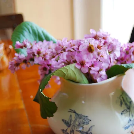 Vakantiehuis Maison Au Charme Champetre - Monlaur-Bernet