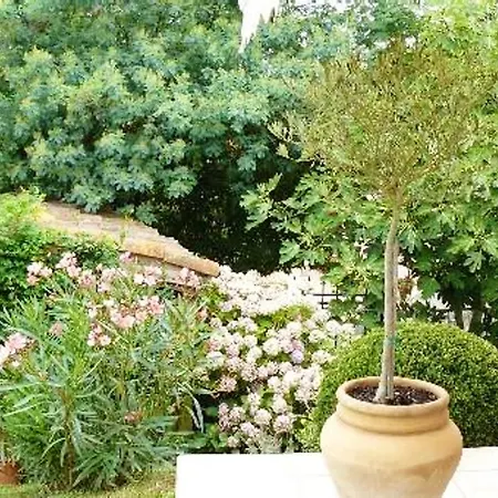 Vakantiehuis Maison Au Charme Champetre - Monlaur-Bernet